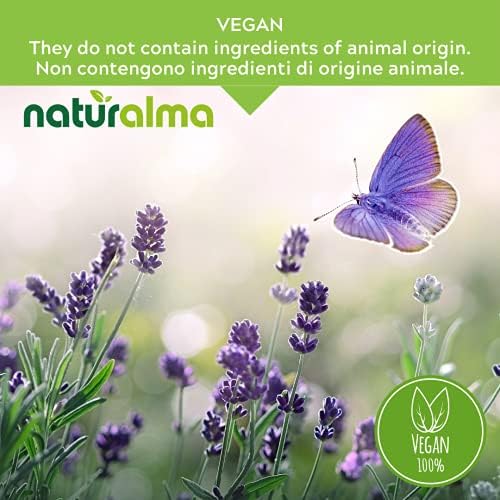 Vue 4 de Sureau Noir Sambucus Nigra