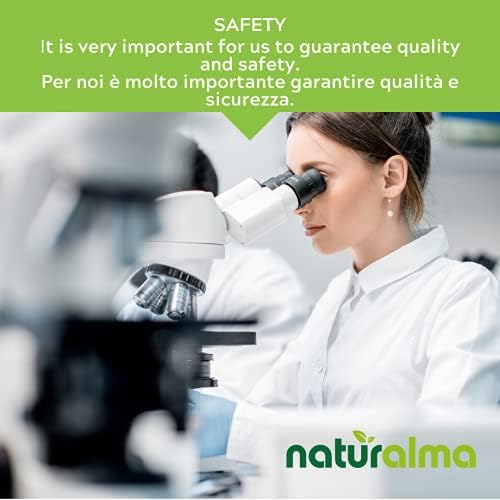 Vue 6 de Sureau Noir Sambucus Nigra