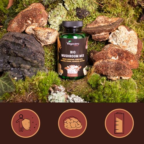 Vue 5 de Complexe Champignons Bio Avec