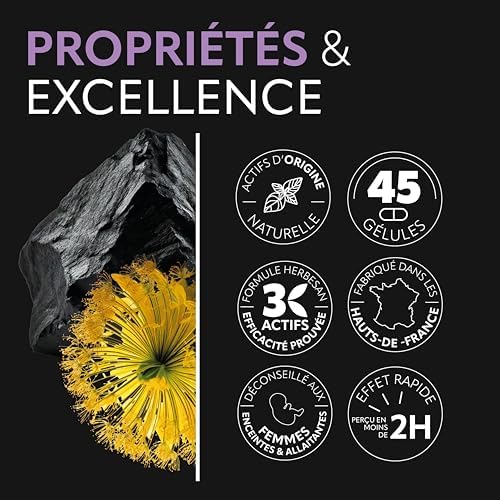 Vue 5 de Herbesancarbogaz Ballonements Charbon Vegetal