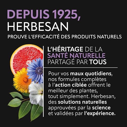 Vue 6 de Herbesancarbogaz Ballonements Charbon Vegetal