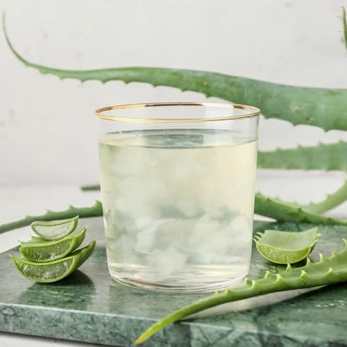 Vue 4 de Jus Daloe Vera Bio