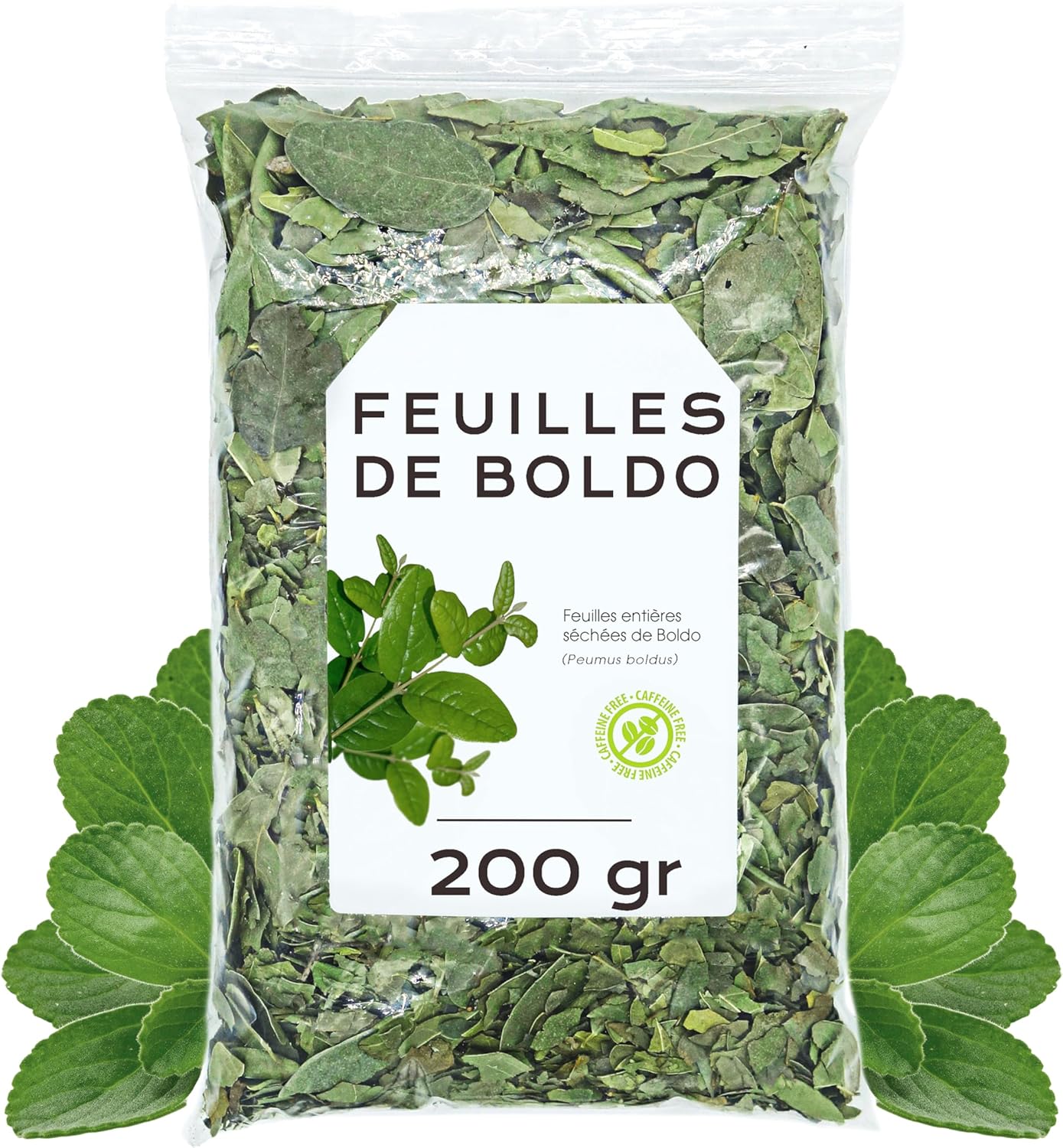 Infusion De Boldo Gr