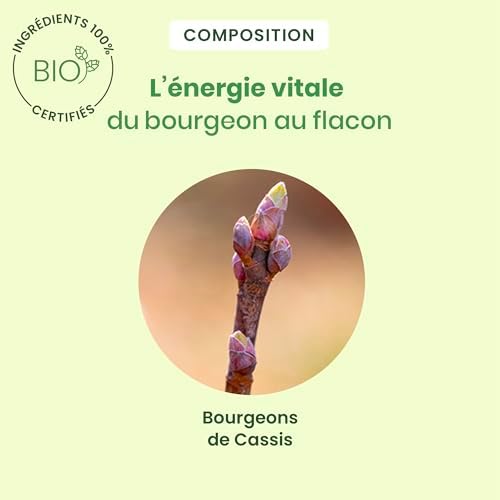 Vue 4 de Herbalgem Maceratmere Cassis Bio