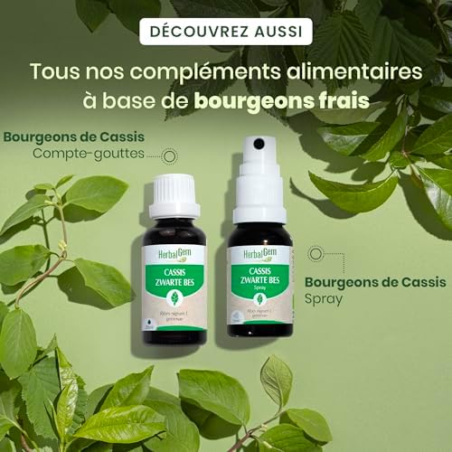 Vue 6 de Herbalgem Maceratmere Cassis Bio