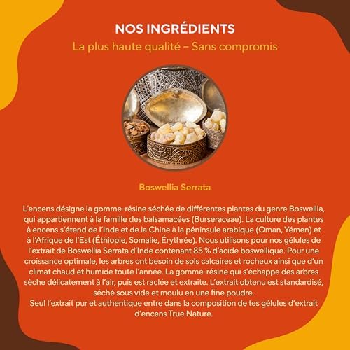 Vue 6 de Boswellia Serrata Mg Gelules