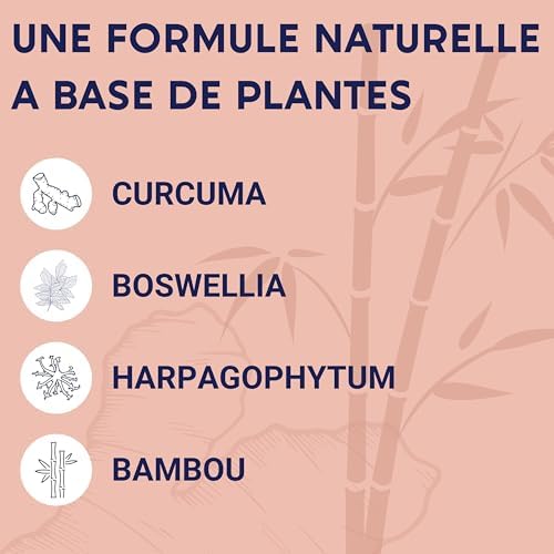 Vue 4 de Formule Articulations Curcuma Harpagophytum