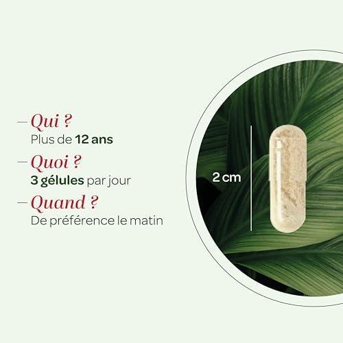 Vue 4 de Superdiet Quatuor Articulations Bio