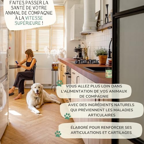 Vue 5 de Poudre Moule Verte Chien