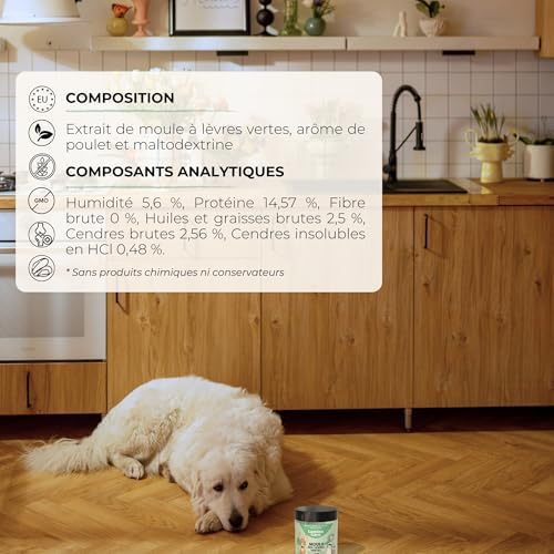 Vue 6 de Poudre Moule Verte Chien