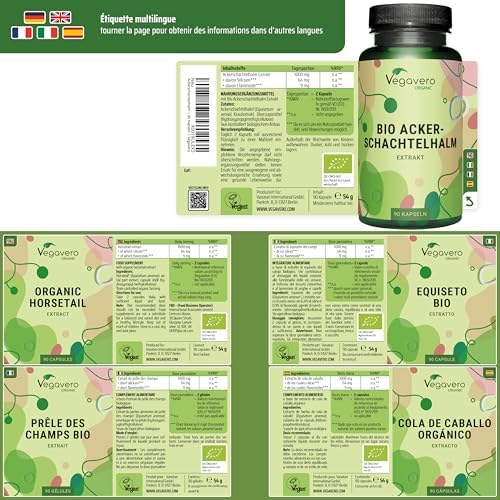 Vue 2 de Prele Des Champs Bio