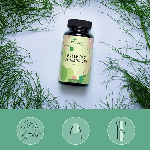 Vue 3 de Prele Des Champs Bio