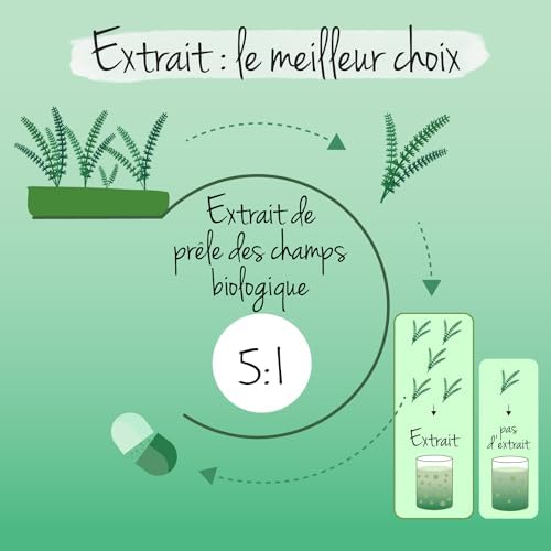 Vue 5 de Prele Des Champs Bio