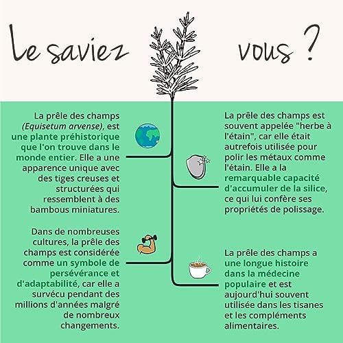 Vue 6 de Prele Des Champs Bio