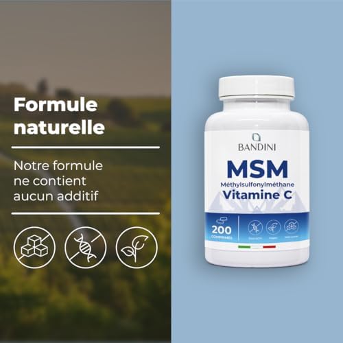 Vue 4 de Bandini Msm Mg De