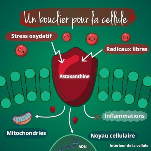 Vue 4 de Astaxanthine Bio Issue De