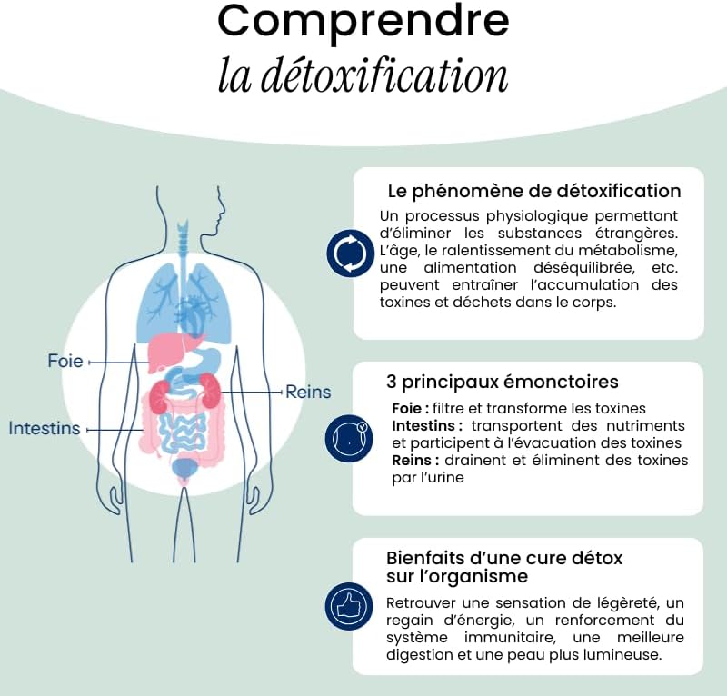 Vue 6 de Naturavignon Detox Foie Reins