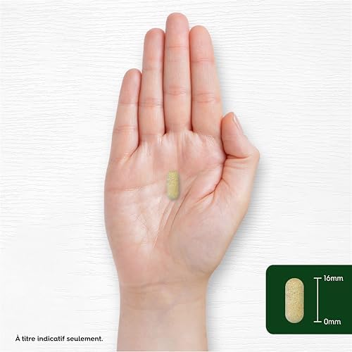 Vue 6 de Pissenlit Gelules Mg Comprimes