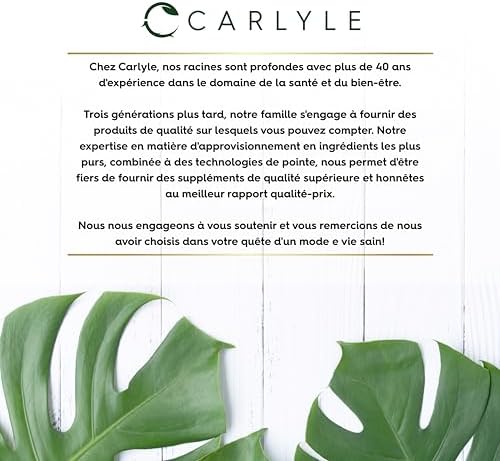 Vue 7 de Pissenlit Gelules Mg Comprimes