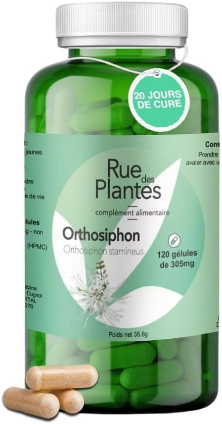 Orthosiphon Gelules Cure Jours