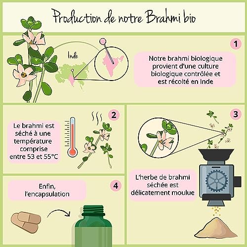Vue 5 de Bacopa Monnieri Bio Vegavero
