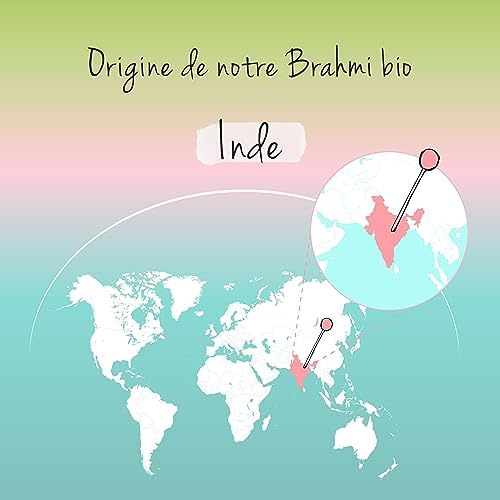 Vue 6 de Bacopa Monnieri Bio Vegavero