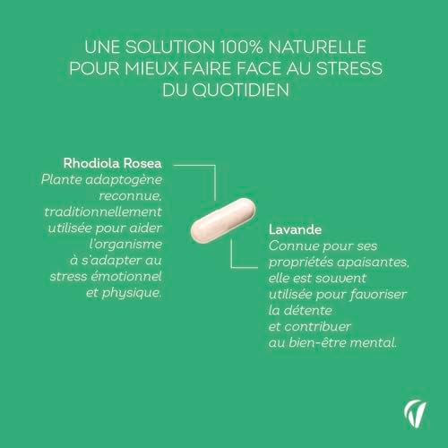 Vue 4 de Rhodiola Rosea Mg Extrait