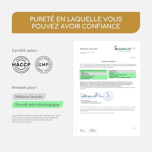 Vue 4 de Lions Mane Champignon Mg