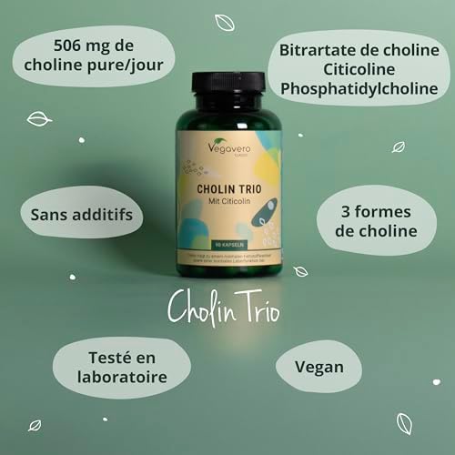 Vue 3 de Choline Vegavero Avec Formes