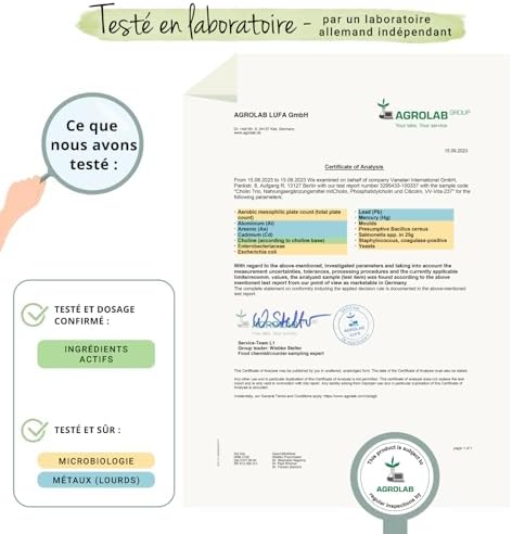 Vue 6 de Choline Vegavero Avec Formes