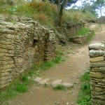 Castro de Borneiro y Dolmen de Dombate
