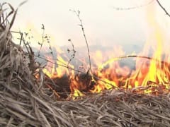 Выжигание травы и использование открытого огня: запреты и ответственность