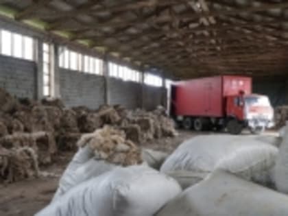 В Дагестане за 250 млн рублей запустят фабрику по переработке шерсти и производства топса