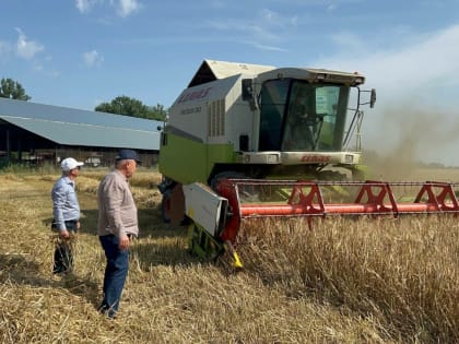 В Дагестане началась уборка зерновых и овощных культур