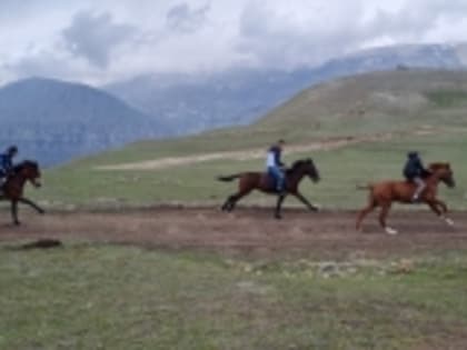 Ко Дню Победы в Гумбетовском районе прошли конные скачки