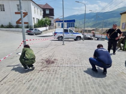 По факту убийства и покушения на убийство трех лиц возбуждено уголовное дело