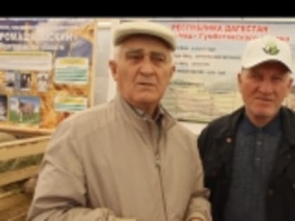 На площадке XXIII Российской выставки племенных овец и коз ученый Ханмагомед Мусалаев рассказал о выведении новых пород МРС