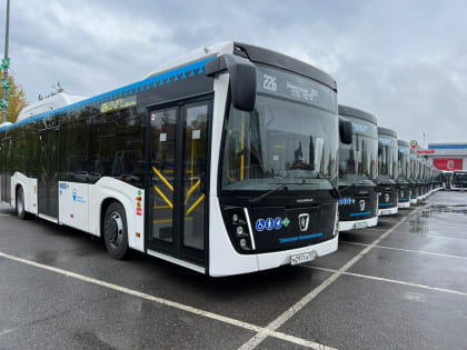 В Махачкале запустят 47 новых больших автобусов до конца года