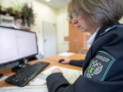 Россельхознадзор не выявил грипп птиц и другие инфекционные заболевания у погибших на побережье Каспийского моря тюленей