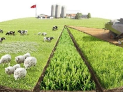 Дагестан за 3 года выделил земельные участки без торгов 21 инвестпроекту