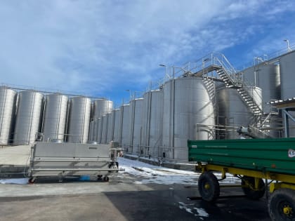 Мавсум Рагимов посетил комплекс ООО «Шато Алвиса» в селе Чинар