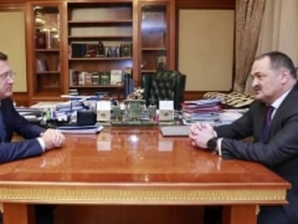 Меликов обсудил с Новаком энергетику и ЖКХ Дагестана