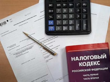 В Дагестане стартовала Декларационная кампания 2023 года