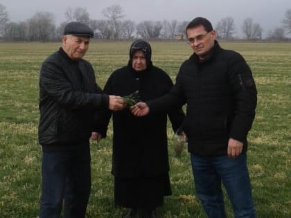 На полях Хасавюртовского района провели обследование состояние посевов озимых культур