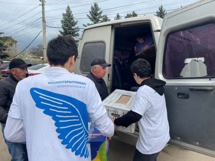 Более 50 посылок гуманитарного груза отправило Ашага-Стальское СП Сулейман-Стальского района в зону СВО