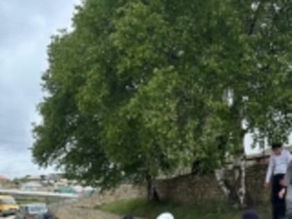 Арадирихцы приняли участие во Всероссийской экологической акции «Марафон зеленых дел»