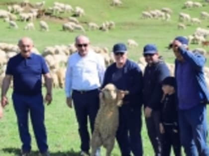 Галип Галипов поздравил с Днём работника сельского хозяйства и перерабатывающей промышленности в РФ