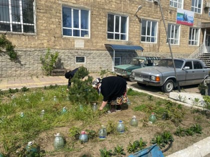 29 апреля сотрудники и студенты Профессионального колледжа приняли активное участие в общегородском субботнике.