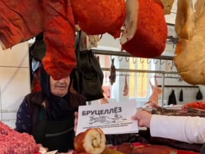 В Хасавюрте имеются случаи заражения бруцеллёзом среди населения