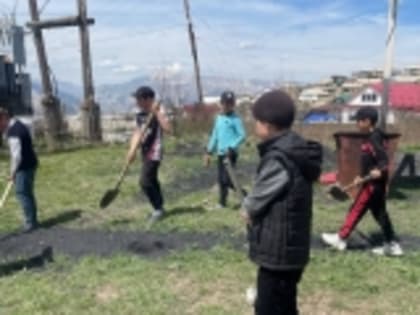 Арадирихцы очистили от ТКО поселения, поля и луга